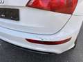 Audi Q5 2.0 TDI 170ps Automatik quattro mit Pickerl Sline Weiß - thumbnail 17