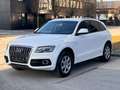 Audi Q5 2.0 TDI 170ps Automatik quattro mit Pickerl Sline Weiß - thumbnail 4