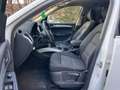 Audi Q5 2.0 TDI 170ps Automatik quattro mit Pickerl Sline Weiß - thumbnail 21