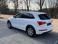 Audi Q5 2.0 TDI 170ps Automatik quattro mit Pickerl Sline Weiß - thumbnail 8