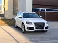 Audi Q5 2.0 TDI 170ps Automatik quattro mit Pickerl Sline Weiß - thumbnail 11