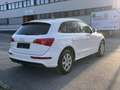 Audi Q5 2.0 TDI 170ps Automatik quattro mit Pickerl Sline Weiß - thumbnail 15