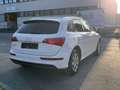 Audi Q5 2.0 TDI 170ps Automatik quattro mit Pickerl Sline Weiß - thumbnail 16