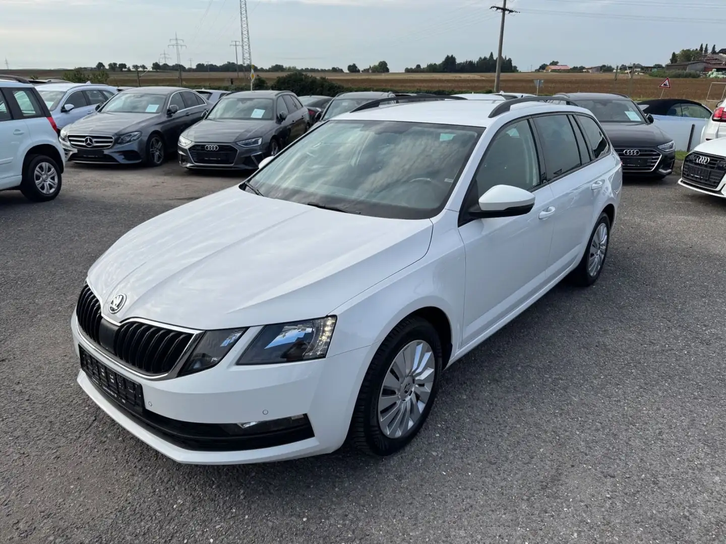 Skoda Octavia Combi DSG PDC 1.Hand Navi Maxi Dot Weiß - 1
