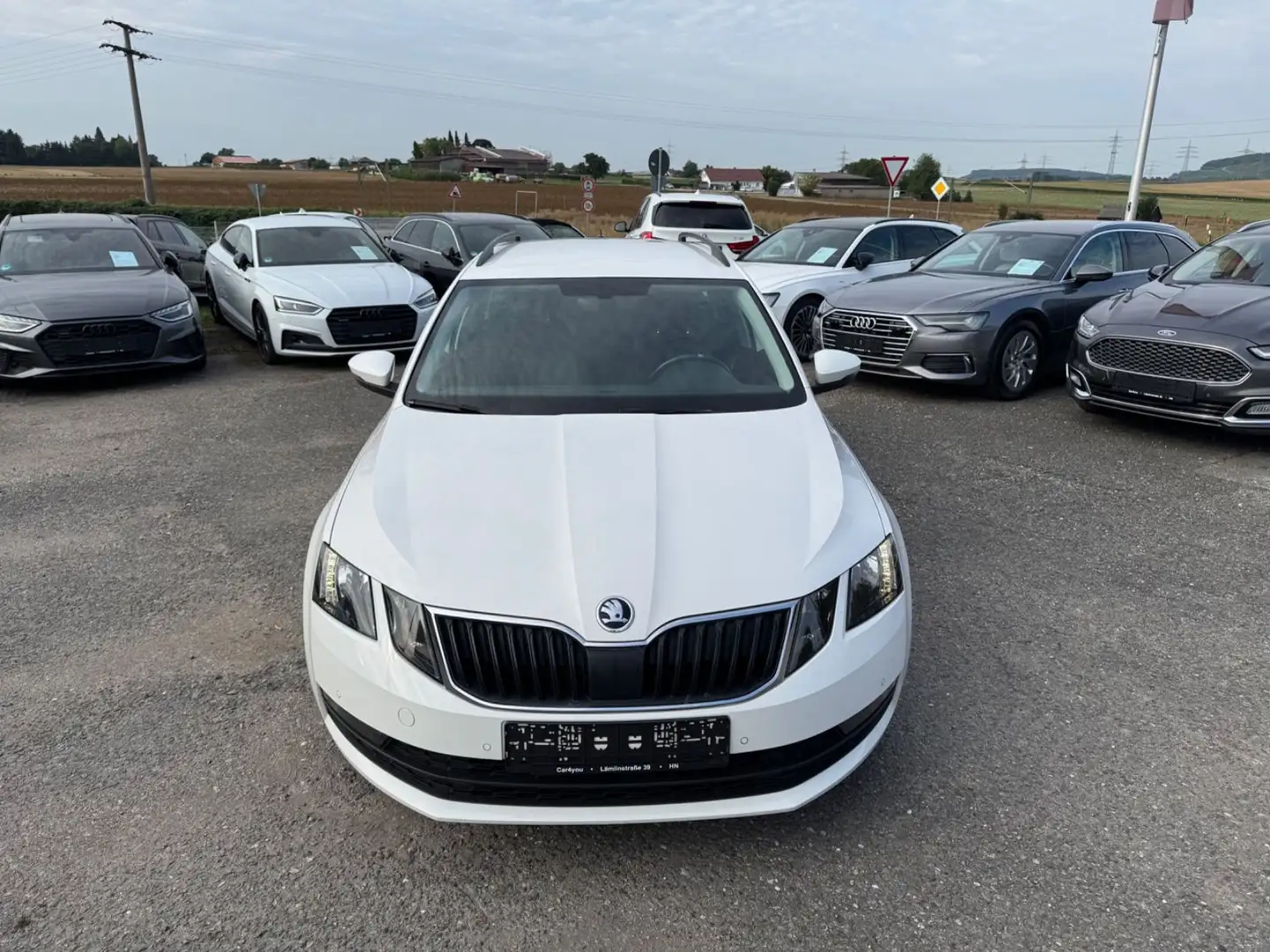 Skoda Octavia Combi DSG PDC 1.Hand Navi Maxi Dot Weiß - 2