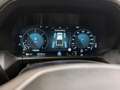 Volkswagen Amarok PanAmericana I DK I 3.0 TDI 4x4 Grau - thumbnail 34