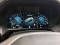 Volkswagen Amarok PanAmericana I DK I 3.0 TDI 4x4 Grau - thumbnail 33