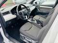 SEAT Arona Xcellence/LED/SHZ/AHK/Tempomat/Apple-Carpl Wit - thumbnail 12
