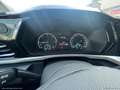 Ford Tourneo Gr. 2.0 122 aut. Tit. Bianco - thumbnail 14