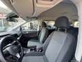 Ford Tourneo Gr. 2.0 122 aut. Tit. Bianco - thumbnail 10