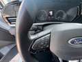 Ford Tourneo Gr. 2.0 122 aut. Tit. Bianco - thumbnail 12