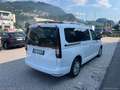 Ford Tourneo Gr. 2.0 122 aut. Tit. Bianco - thumbnail 5