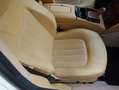 Maserati Quattroporte Executive GT 2007 Uniek en mooi (BTW AUTO) Wit - thumbnail 23
