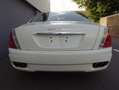 Maserati Quattroporte Executive GT 2007 Uniek en mooi (BTW AUTO) Biały - thumbnail 8