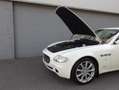 Maserati Quattroporte Executive GT 2007 Uniek en mooi (BTW AUTO) Wit - thumbnail 38