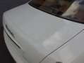 Maserati Quattroporte Executive GT 2007 Uniek en mooi (BTW AUTO) Biały - thumbnail 14