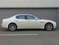 Maserati Quattroporte Executive GT 2007 Uniek en mooi (BTW AUTO) Biały - thumbnail 6