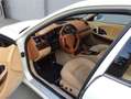 Maserati Quattroporte Executive GT 2007 Uniek en mooi (BTW AUTO) Wit - thumbnail 16