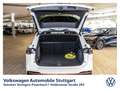Volkswagen Tiguan R-Line 1.5 TSI Hybrid DSG Navi Kamera Weiß - thumbnail 16