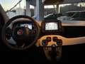 Fiat Panda 1.0 FireFly S&S Hybrid Pandina Blu/Azzurro - thumbnail 9