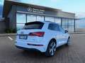 Audi Q5 Q5 SPB 40 TDI quattro S tronic Identity Black Bianco - thumbnail 6