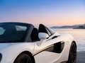 McLaren 570S McLaren 570S Spider V8 3.8 570 ch Weiß - thumbnail 15