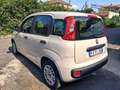 Fiat Panda Panda III 2012 1.2 Lounge 69cv E6 Wit - thumbnail 6
