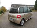 Fiat Multipla 1.6 16V Natural Power Dynamic Bronzo - thumbnail 2