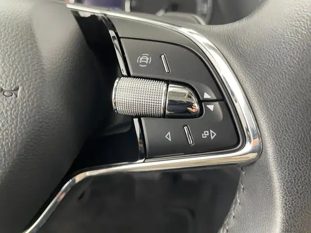 Skoda Octavia view 15
