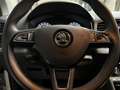 Skoda Karoq 1.6 TDi DSG CarPlay GPS Trekhaak Weiß - thumbnail 14
