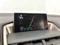 Lexus NX 300h 300 2.5 Hybrid F-Sport - thumbnail 20