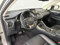 Lexus NX 300h 300 2.5 Hybrid F-Sport - thumbnail 10