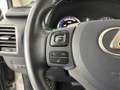 Lexus NX 300h 300 2.5 Hybrid F-Sport - thumbnail 12