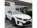 Kia XCeed 140 PS SPIRIT DCT LED ACC Apple CarPlay Android Au Weiß - thumbnail 6