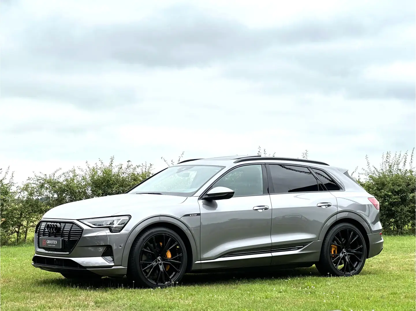 Audi e-tron e-tron 55 quattro advanced Pro Line Plus 95 kWh - Grijs - 1