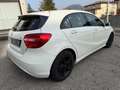 Mercedes-Benz A 180 Classe A - W176 cdi (be) Sport - OK NEOPATENTATI Bianco - thumbnail 8