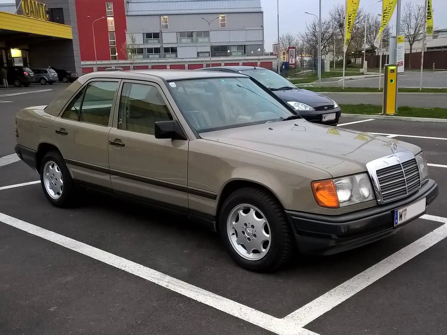 Mercedes-Benz 250 250 D Ds. bež - 1