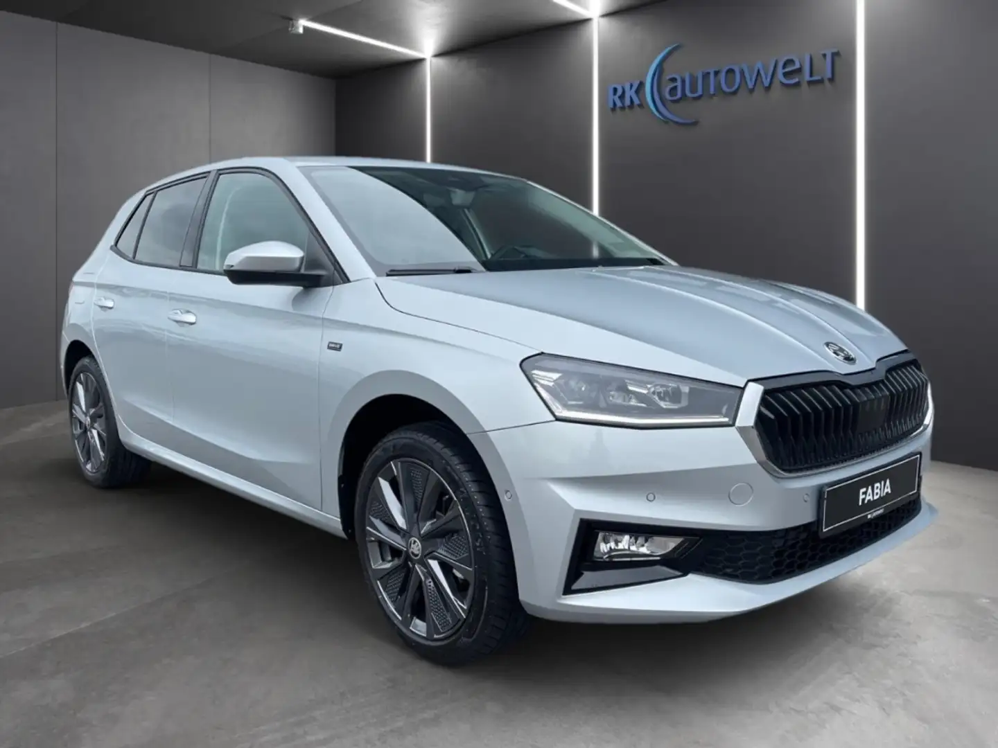 Skoda Fabia Selection 1.0 TSI DSG Klima,PDC,SHZ,ACC Silber - 2