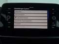 Volkswagen T-Roc Friends TSI Grau - thumbnail 14