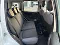 Fiat Panda PANDA 1.2 BENZINA LOUNGE 5 POSTI NEOPATENTATI Bianco - thumbnail 14