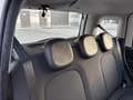 Fiat Panda PANDA 1.2 BENZINA LOUNGE 5 POSTI NEOPATENTATI Bianco - thumbnail 13