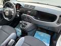 Fiat Panda PANDA 1.2 BENZINA LOUNGE 5 POSTI NEOPATENTATI Bianco - thumbnail 10
