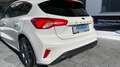 Ford Focus EcoBoost ST-LINE m Navi SYNC 3 u Winter-Paket Blanc - thumbnail 7