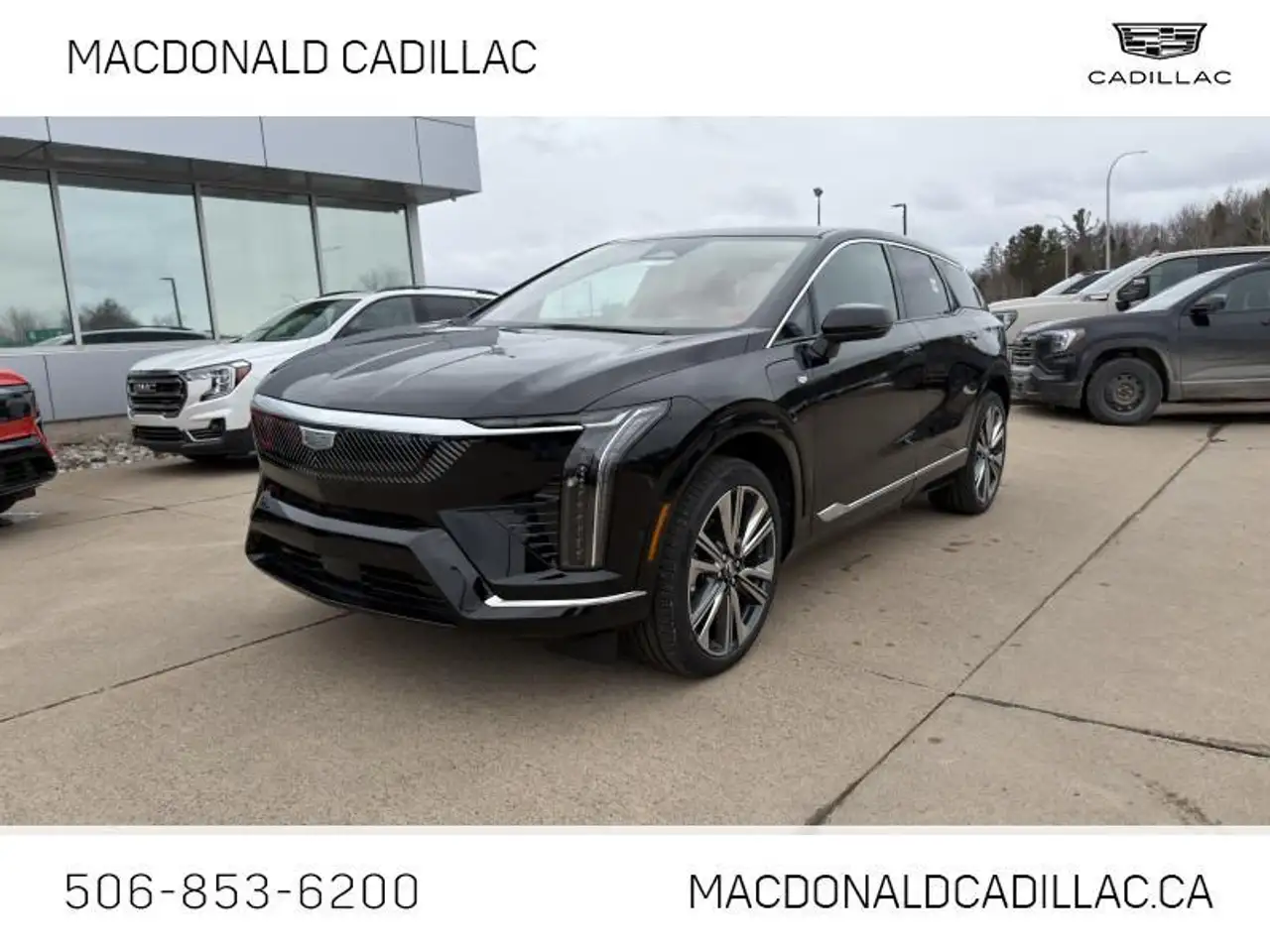 2026 Cadillac Optiq