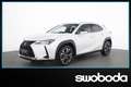 Lexus UX 250h Business 1,4kWh AHK LED Weiß - thumbnail 1