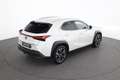Lexus UX 250h Business 1,4kWh AHK LED Weiß - thumbnail 5