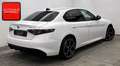 Alfa Romeo Giulia 2.0 Turbo Veloce Q4 SPECIALE+MEMO+ACC+ Weiß - thumbnail 4