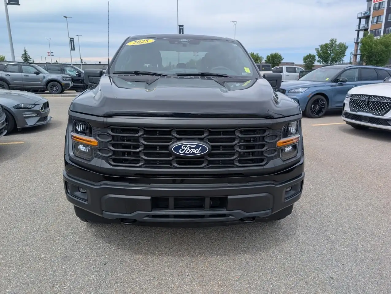 Ford F 150 photo Ford F 150