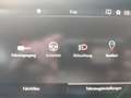 Opel Grandland 1.5 CDTI DPF,PDC,Kamera,Panorama,SHZ,LHZ,Klima,Nav Wit - thumbnail 28