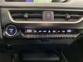 Lexus UX 250h 250H Hybrid Executive AUT Argento - thumbnail 12